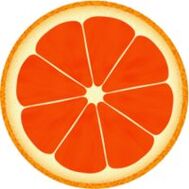 grapefruit pre dukanovú diétu